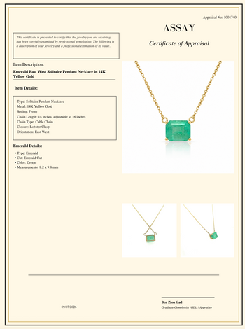 3,66 Karat Smaragd im Smaragdschliff Solitär Ost-West Pendant Halskette in 14K Gelbgold – Assay Jewelers